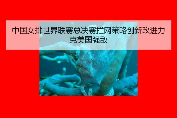 zhong-guo-nv-pai-shi-jie-lian-sai-zong-jue-sai-lan-wang-ce-lve-chuang-xin-gai-jin-li-ke-mei-guo-qiang-di-3-354.jpg
